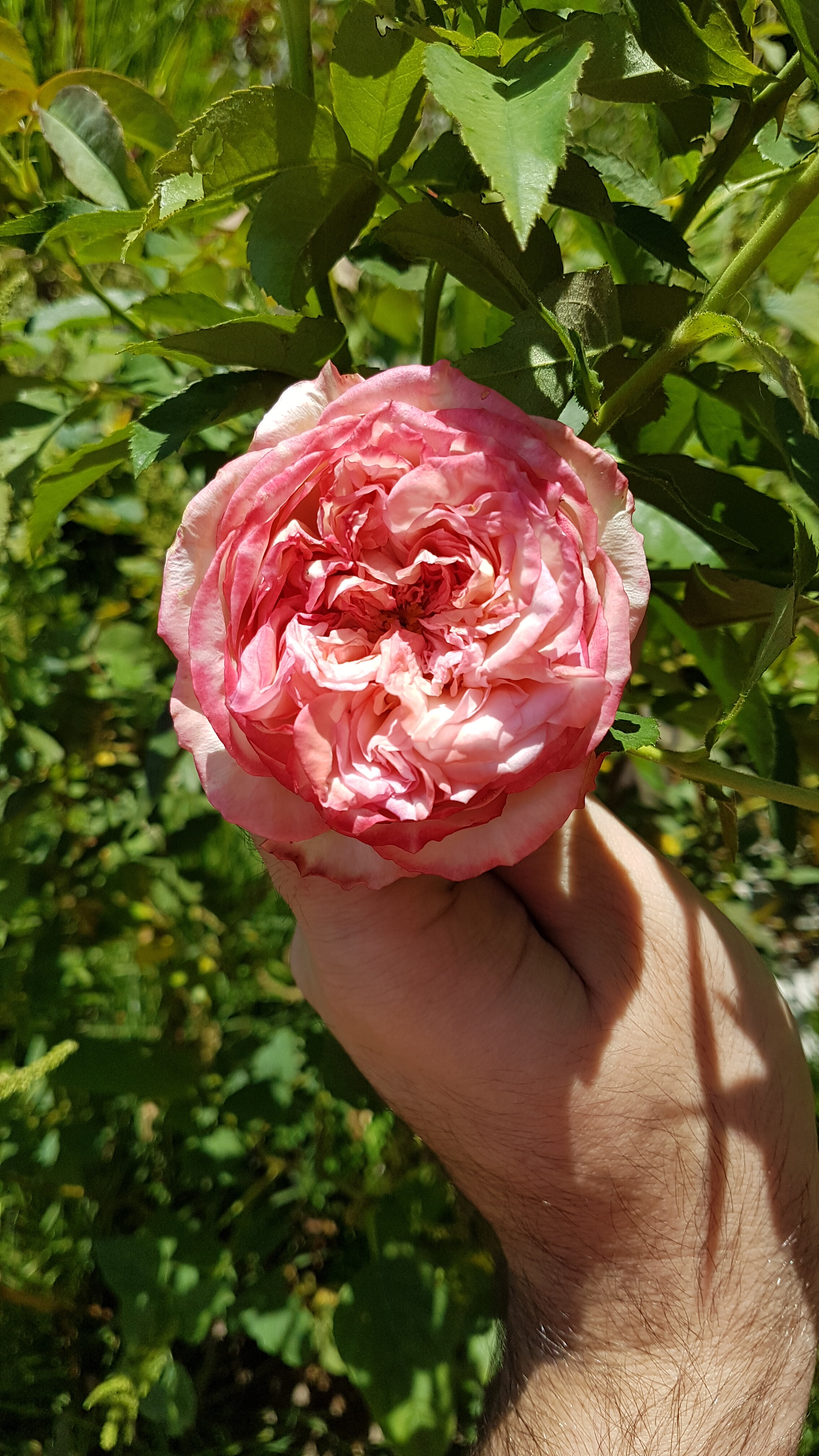 20191227_104240.jpg