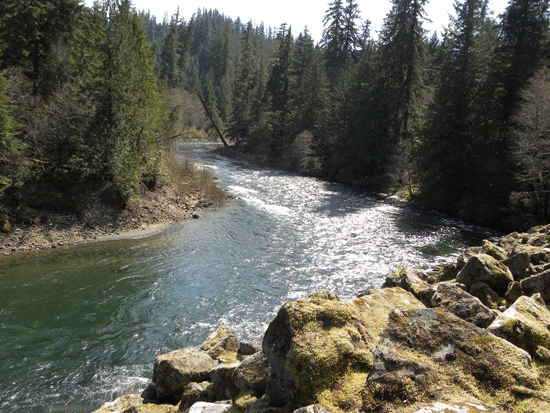 Upper-Clackamas.gif
