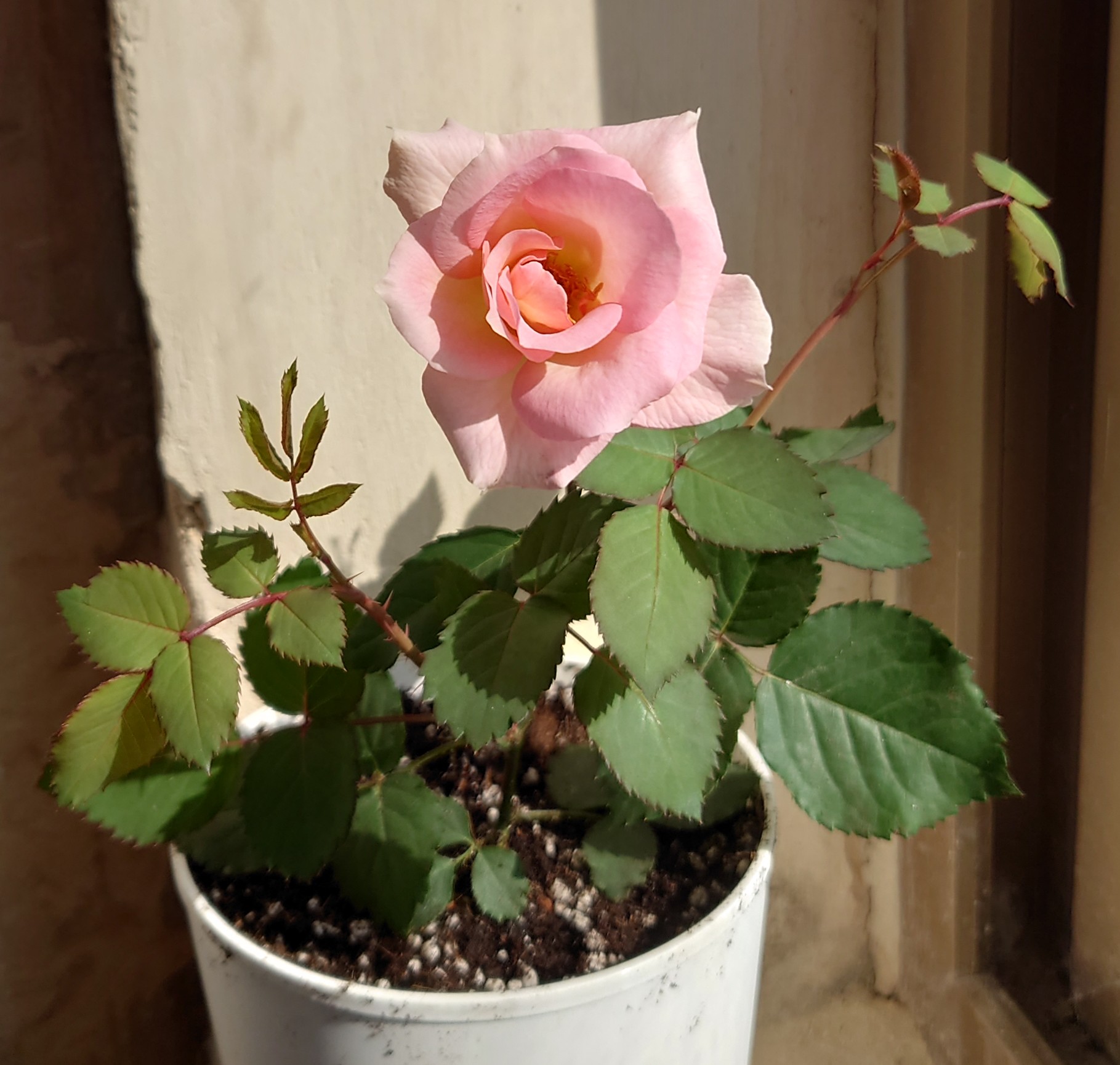 DSC_2826~2.JPG