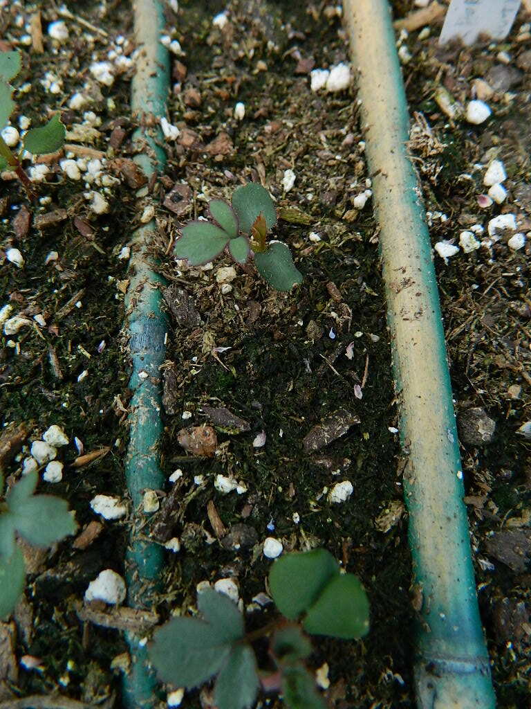 DSCN1030.JPG