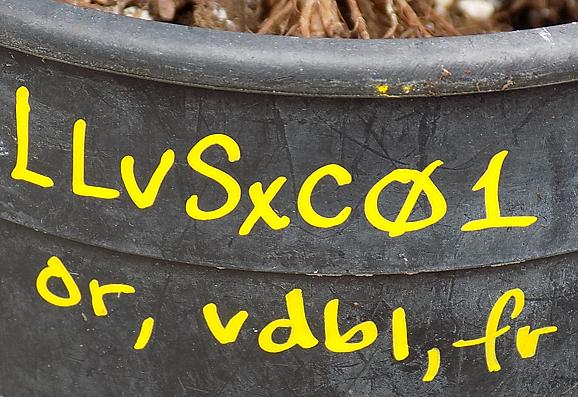 label.JPG